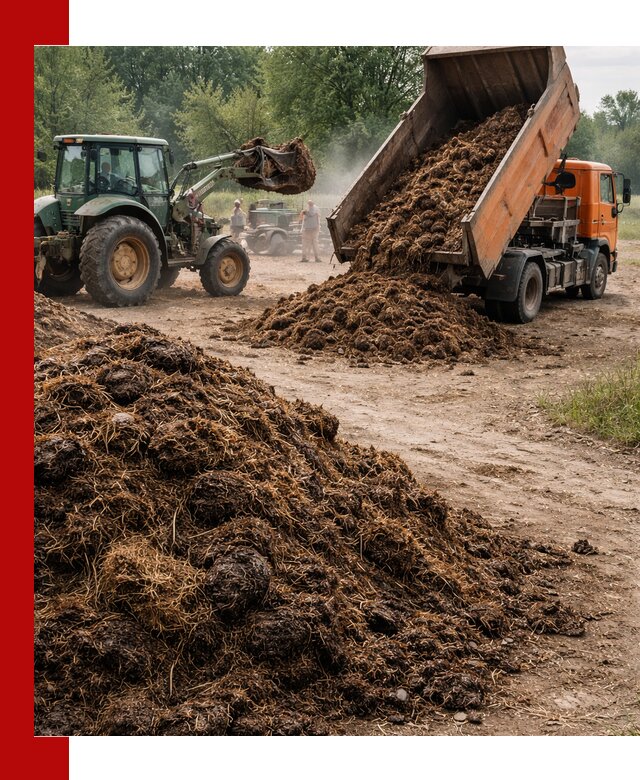 Доставка навоза самосвалами в Мегионе для сельхозпотребностей
